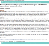 PubPeer link 2.PNG