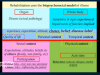 upload_2020-12-23_12-34-27.png