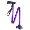 Hurrycane-walking-stick-purple.jpg