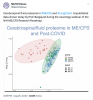 Cerebrospinal fluid proteome in MEcfs and post-covid.png