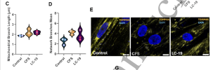Screenshot 2025-08-02 at 3.52.13 pm.png