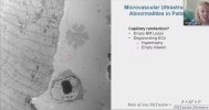 Screenshot 2025-09-21 at 2.48.11 PM copy.jpg