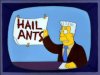 Small Hail Ants Remove.jpg