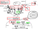 efferocytosis-MERTK.png