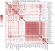 correlation_heatmap.png