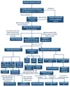 diagn-diabet-insip-Image001 (3).webp