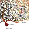 20210412-purkinje-neuron-JA.webp