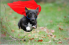 upload_2019-3-12_22-58-3.png
