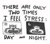 4f32f601d982d2f43dcd8bdf163124be--stressed-out-stressed-quotes.jpg