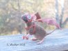 steampunk_flying_mouse_by_ghost_horse-d3178zw.jpg
