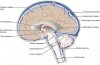 1317_CFS_Circulation.jpg